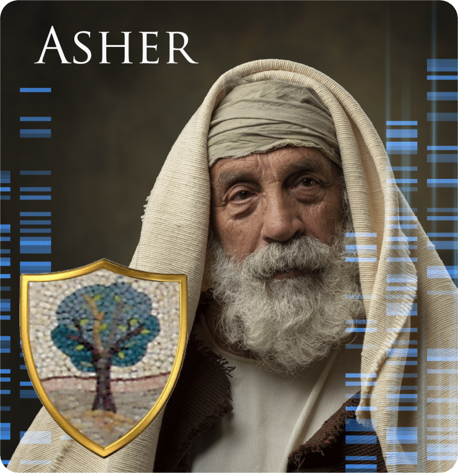 Asher